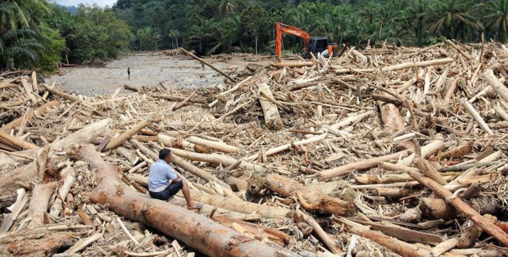Bencana Sumatera, DPR Usul Bentuk Panja Penyelamatan Hutan