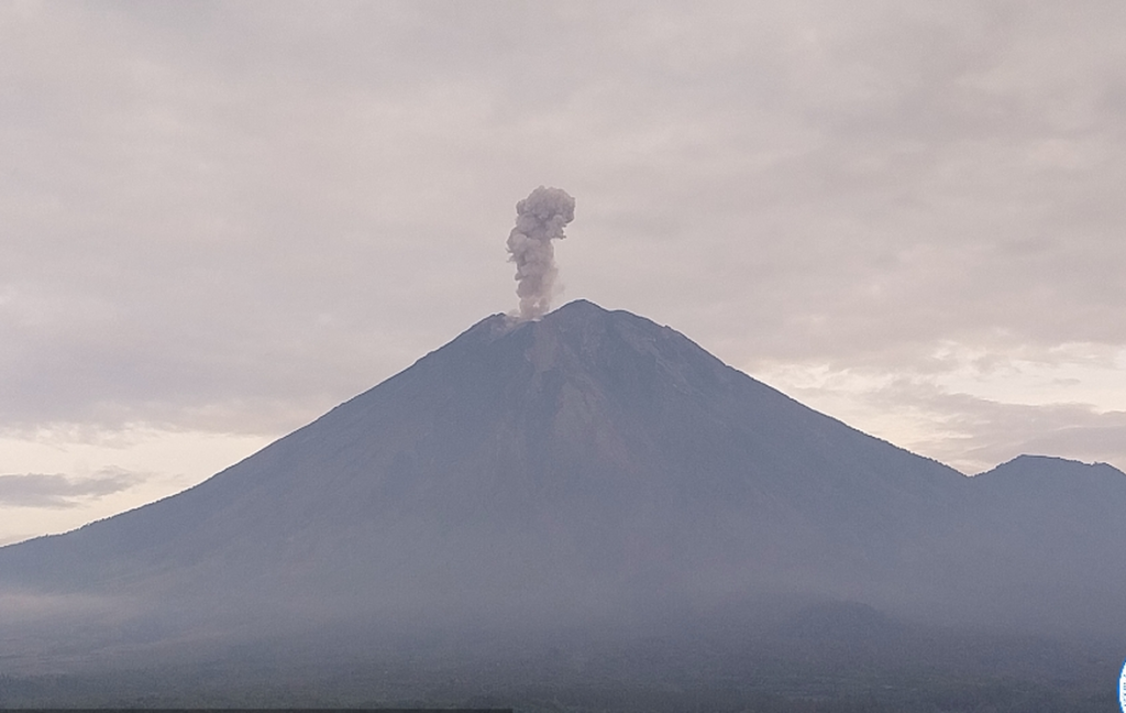 Gunung Semeru Erupsi Lagi, Kolom Abu Capai 800 Meter