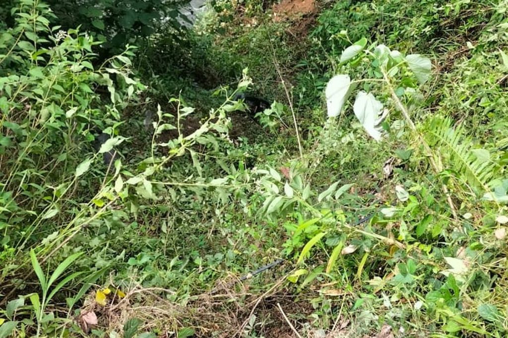 Mobil Terjun ke Jurang, Dua Penumpang Masih Dicari