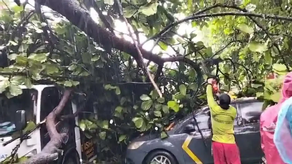 Hujan dan Angin Kencang Tumbangkan Enam Pohon di Jakarta Pusat