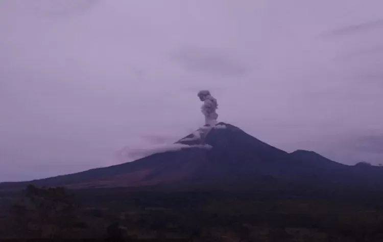 PVMBG: Erupsi Semeru Rekam Amplitudo Maksimal 22 mm