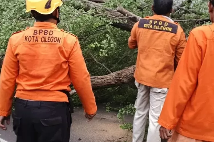 Mahasiswa Untirta Tewas Tertimpa Pohon Tumbang di Jalan Kembar Cilegon