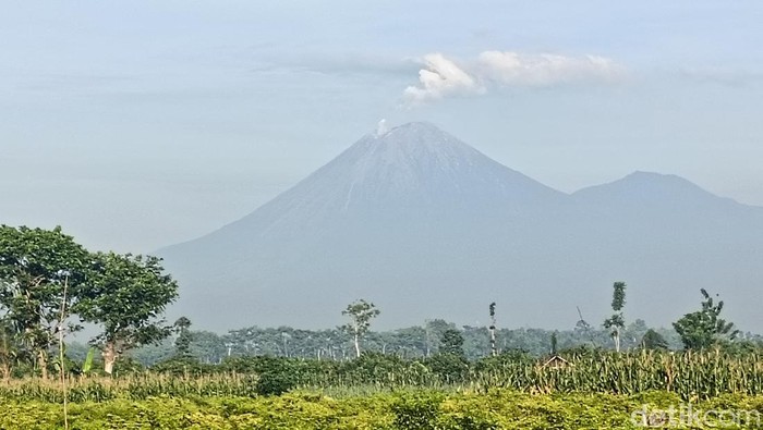Gunung Semeru Erupsi 16 Kali, Kolom Abu Capai 1.100 Meter