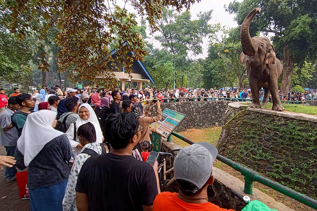 Libur Natal, Taman Margasatwa Ragunan Kembali Dipadati Pengunjung