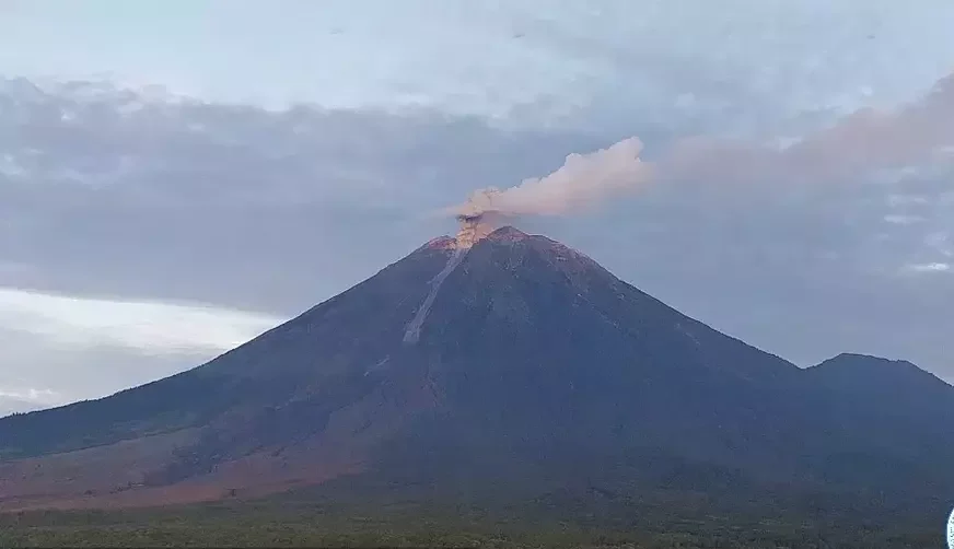 Gunung Semeru Erupsi, PVMBG Catat Puluhan Gempa Letusan