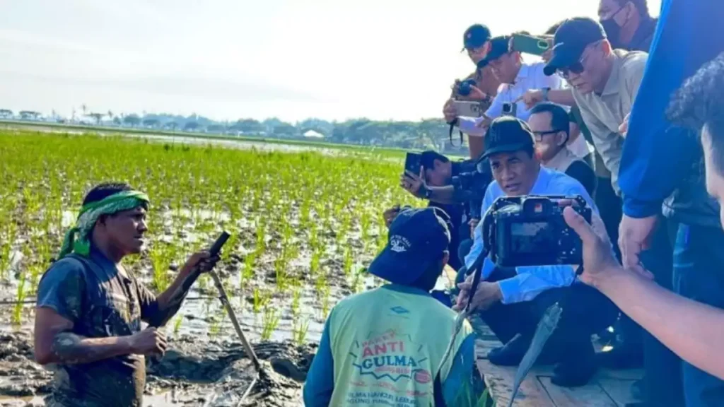 Mentan Percepat Pemulihan Sawah Terdampak Banjir di Aceh