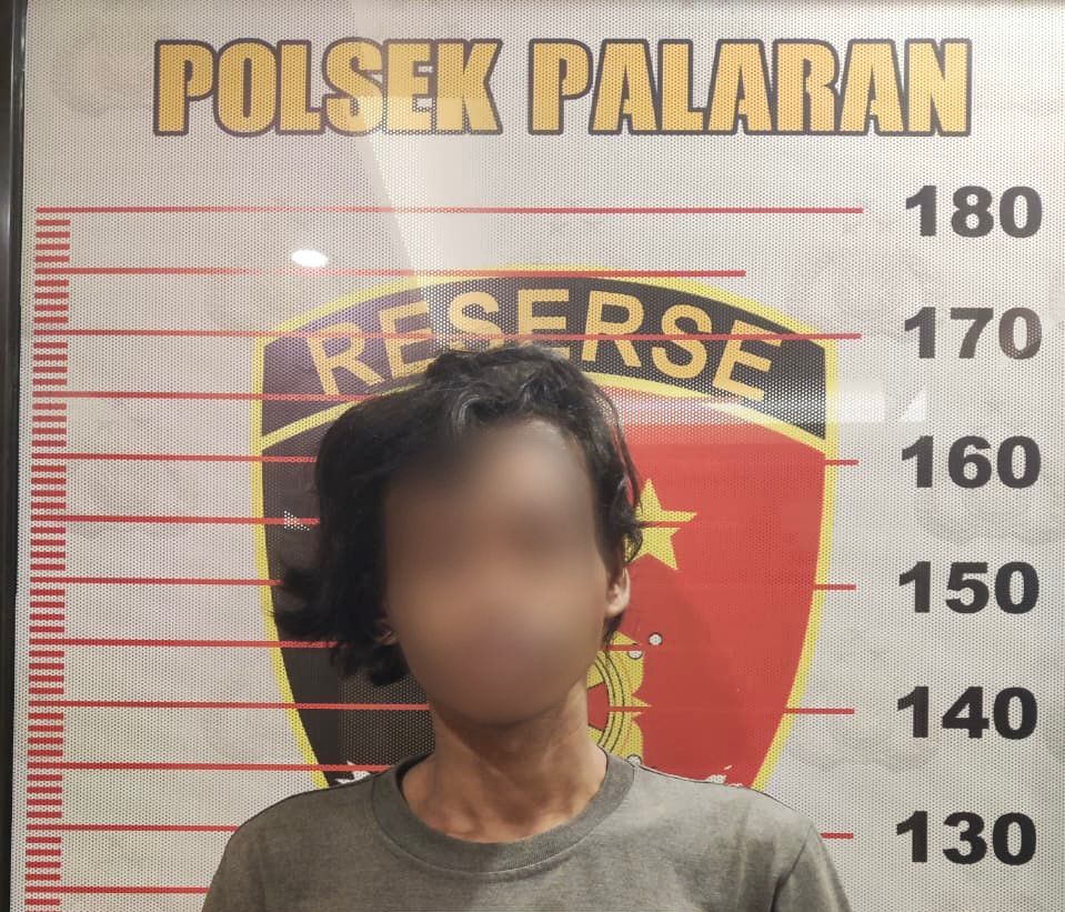 Curi Atap Seng, Pria 27 Tahun Diamankan Polisi