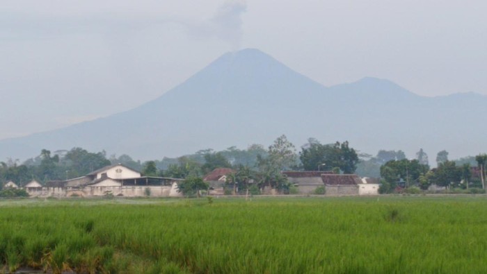 Gunung Semeru Erupsi, Kolom Abu Capai 900 Meter