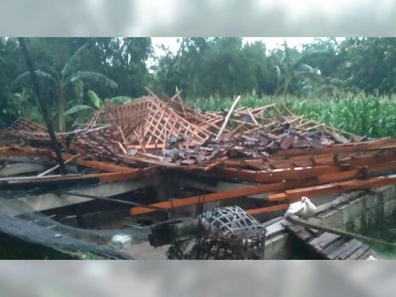 Hujan Deras dan Angin Kencang Robohkan Lima Rumah di Tambakrejo
