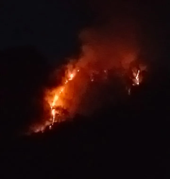 Kebakaran Hutan 20 Hektare Gegerkan Parigi Utara