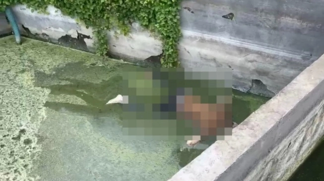 Tanpa Identitas, Mayat Pria Ditemukan Mengambang di Selokan Kapuk