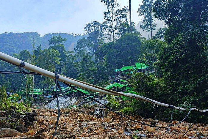 PETI Marak di Sintang, Hutan Lindung Diduga Dirusak dan Jadi Sarang Judi