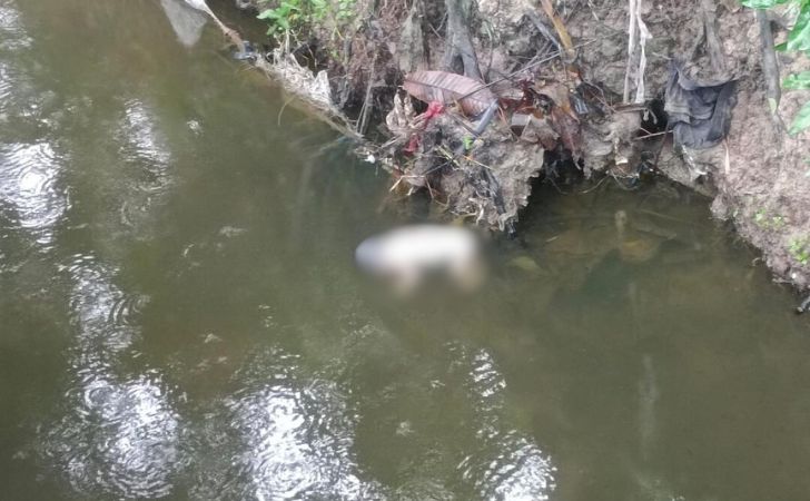 Warga Pekanbaru Geger, Mayat Bayi Ditemukan di Parit Perumahan