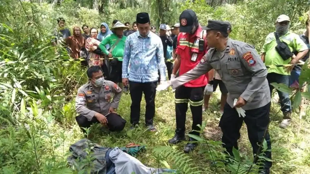 Hilang 8 Hari, Lansia di Tanah Bumbu Ditemukan Meninggal di Kebun Sawit