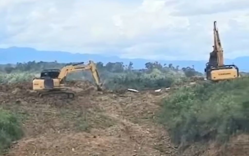 PETI Kembali Marak di Madina Usai Lebaran, Warga Soroti Lemahnya Pengawasan