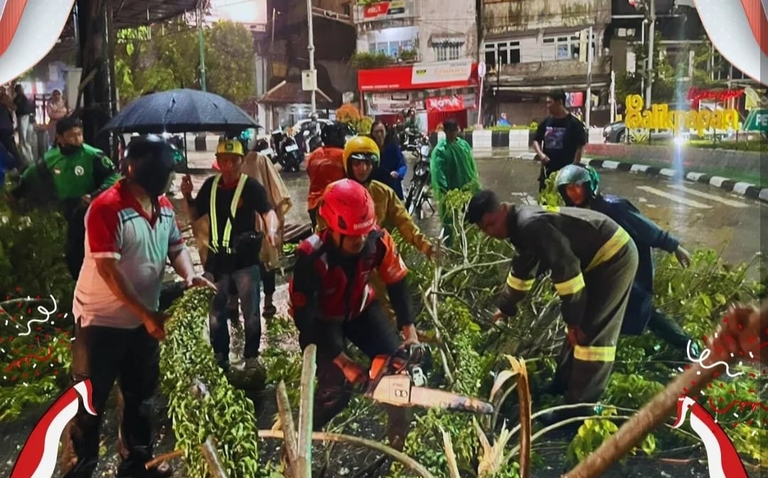 Brimob Gerak Cepat Evakuasi Pohon Tumbang di Jalan MT Haryono Balikpapan