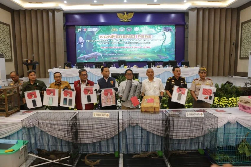 Polda Jatim Bongkar Sindikat Perdagangan Satwa Langka ke Thailand