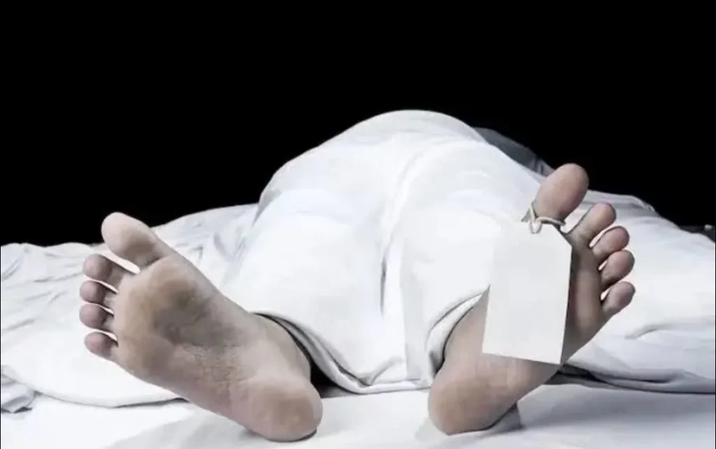 ASN Yahukimo Tewas Ditembak, Aparat Buru Pelaku Diduga OPM