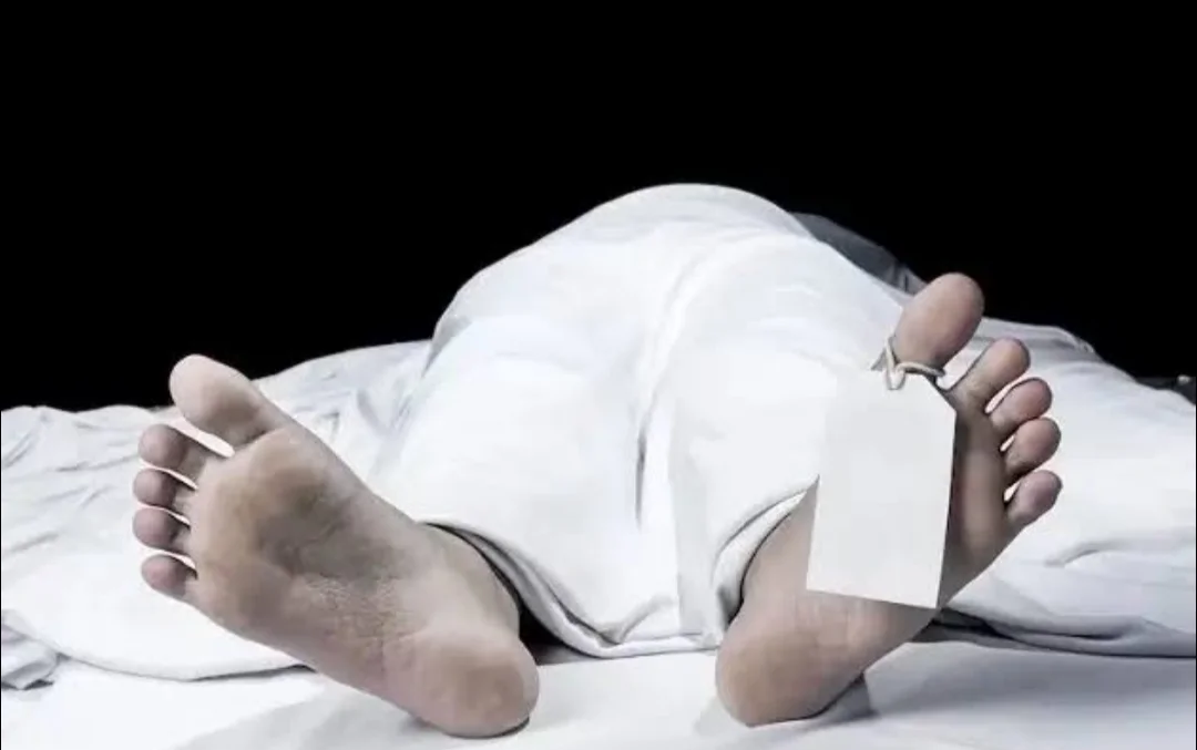 ASN Yahukimo Tewas Ditembak, Aparat Buru Pelaku Diduga OPM