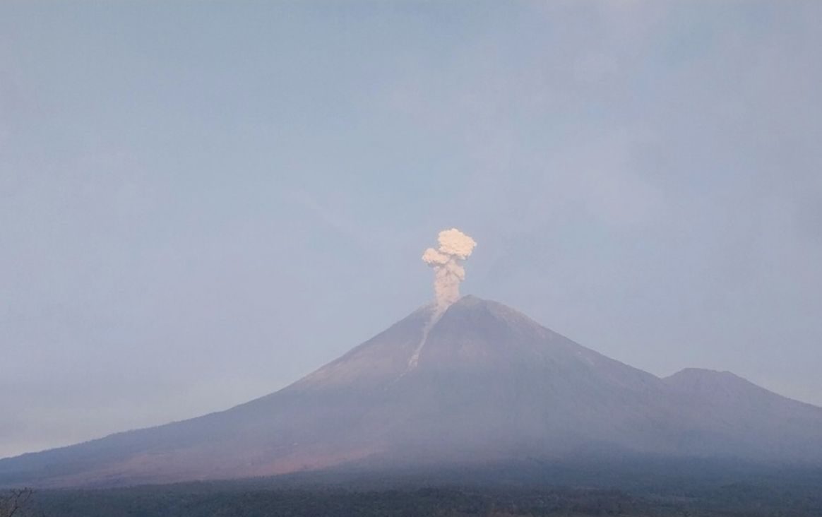 Gunung Semeru Erupsi 3 Kali, Warga Diminta Jauhi Zona Bahaya