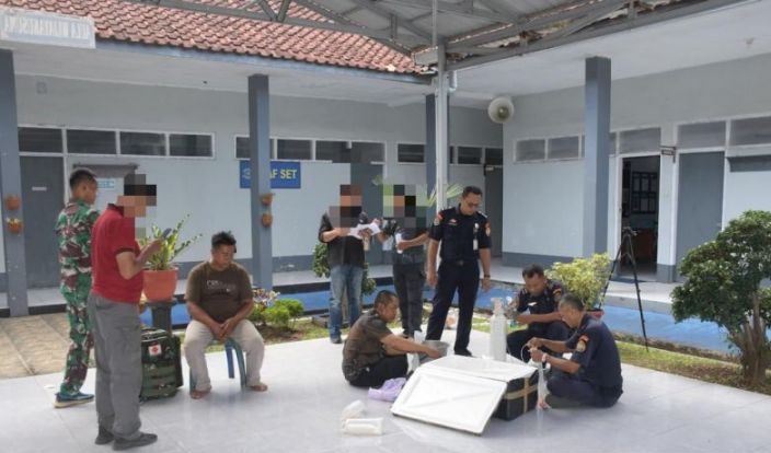 TNI AL Gagalkan Penyelundupan 5.859 Benih Lobster di Cilacap