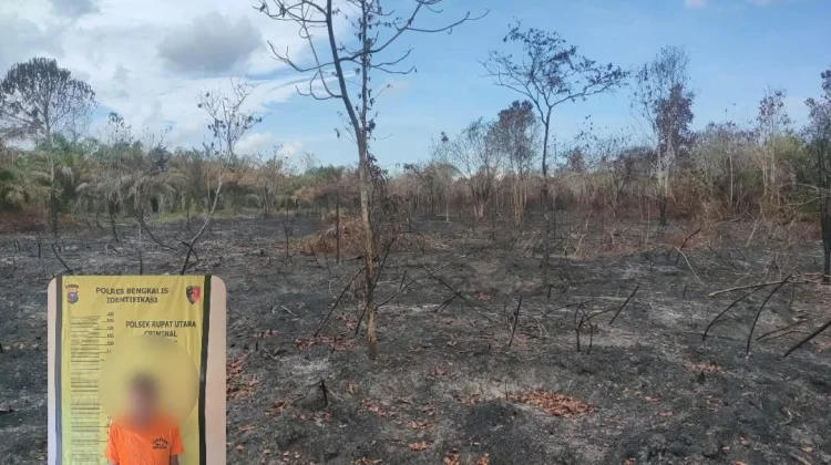 Polisi Tangkap Pembakar Lahan 35 Hektare di Bengkalis