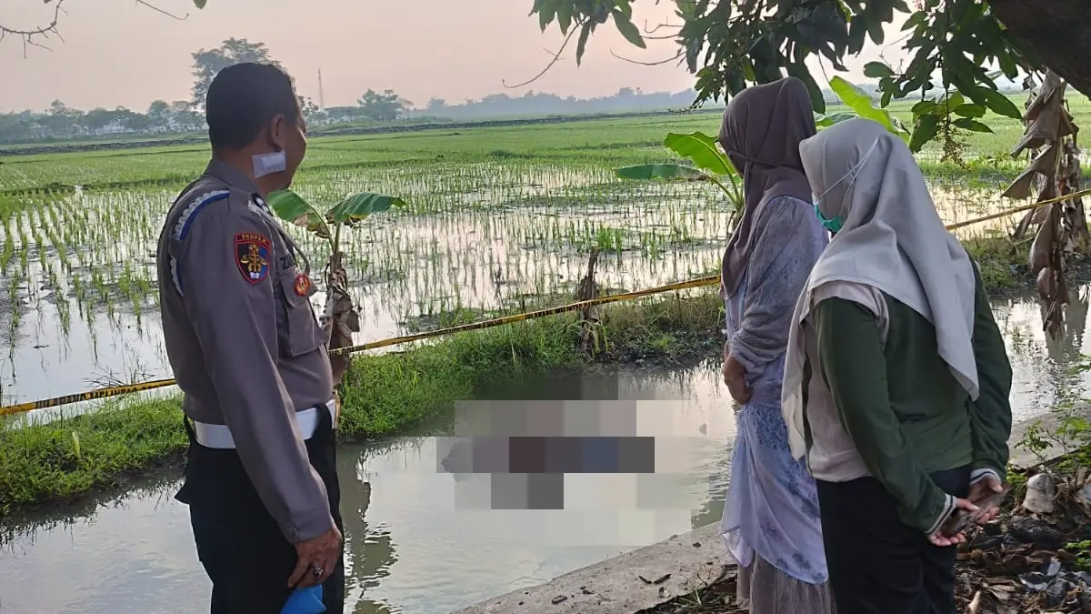 Pria Ditemukan Tewas di Sawah Jombang, Polisi Pastikan Tanpa Kekerasan