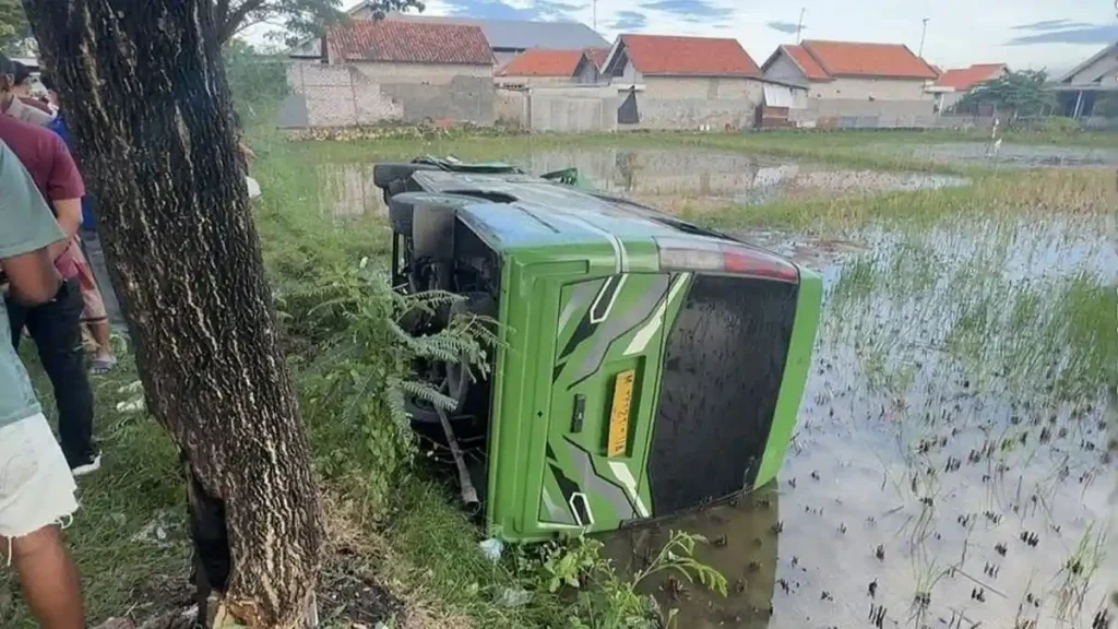 Microbus Terjun ke Sawah Usai Adu Banteng dengan Truk Molen di Pamekasan