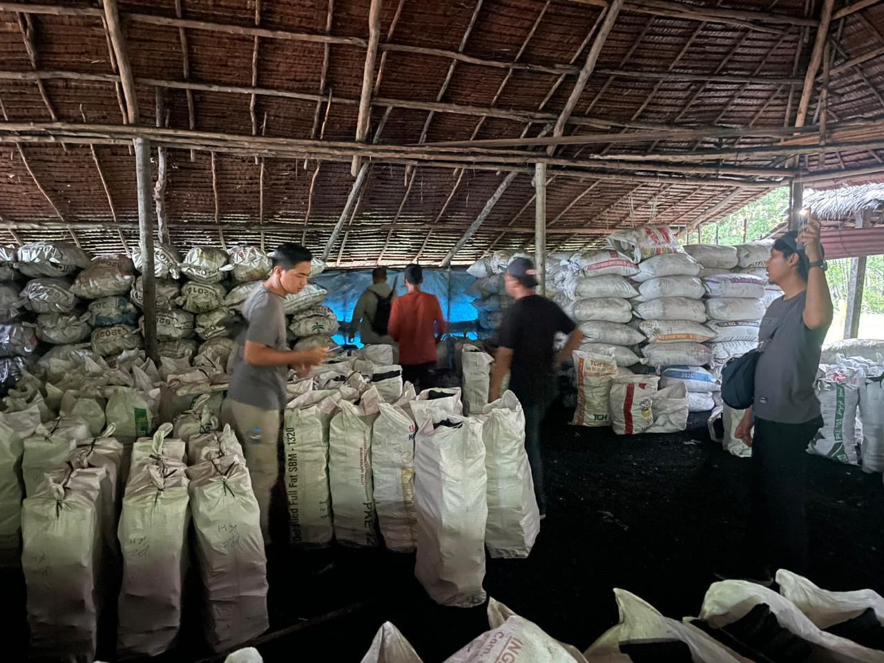 Polda Riau Bongkar Jaringan Arang Bakau Ilegal, 100 Ton Disita
