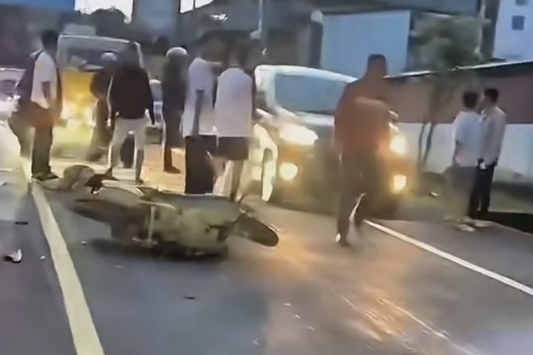 Adu Banteng di Jalur Puncak, Pengendara Scoopy Kritis