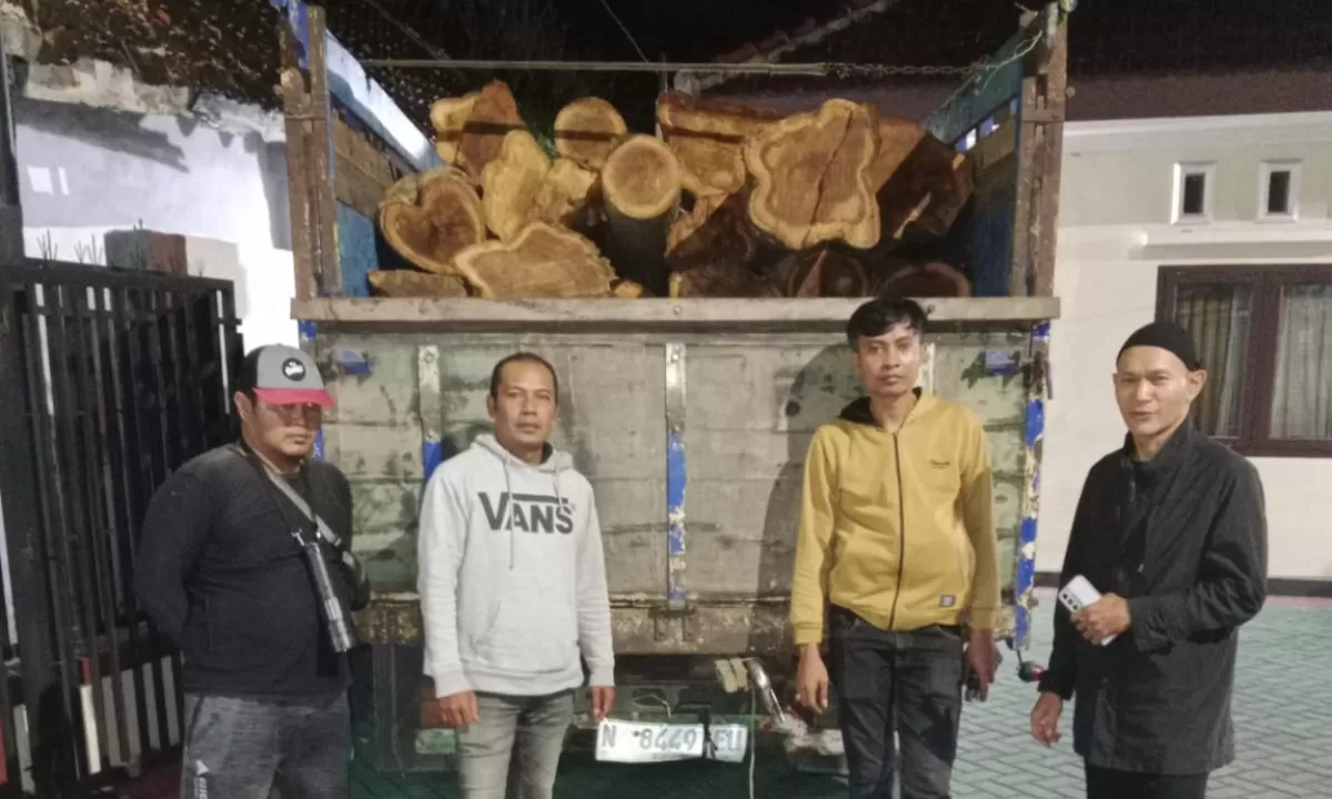 Polisi dan Perhutani Gagalkan Pembalakan Liar di Banyuwangi, Dua Pelaku Ditangkap
