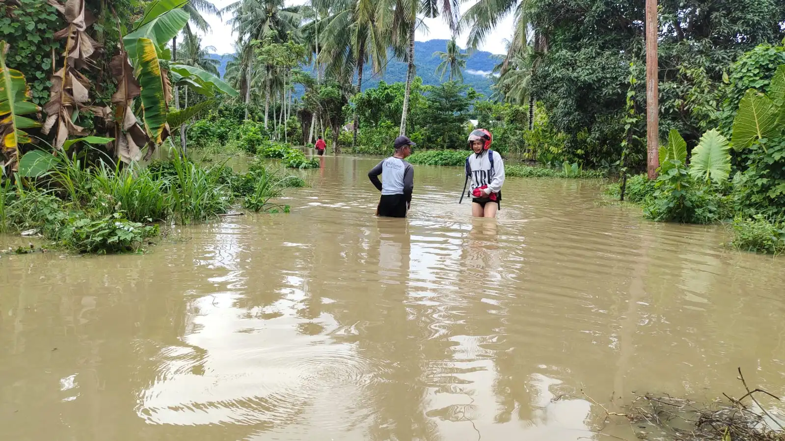 Banjir Binuang Lumpuhkan Jalur Trans Sulawesi, Rumah Warga Terendam
