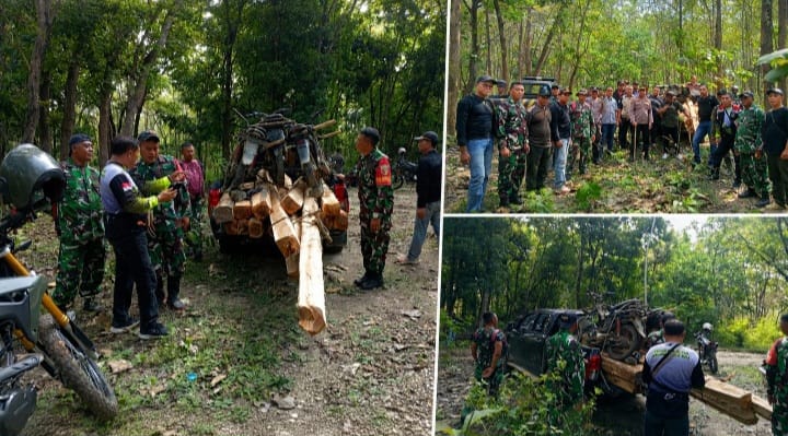 Aparat Gabungan Gagalkan Pembalakan Liar di Hutan Jatirogo Tuban