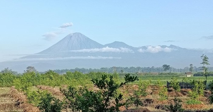 Gunung Semeru Erupsi 4 Kali dalam Sejam, Letusan Capai 1.000 Meter