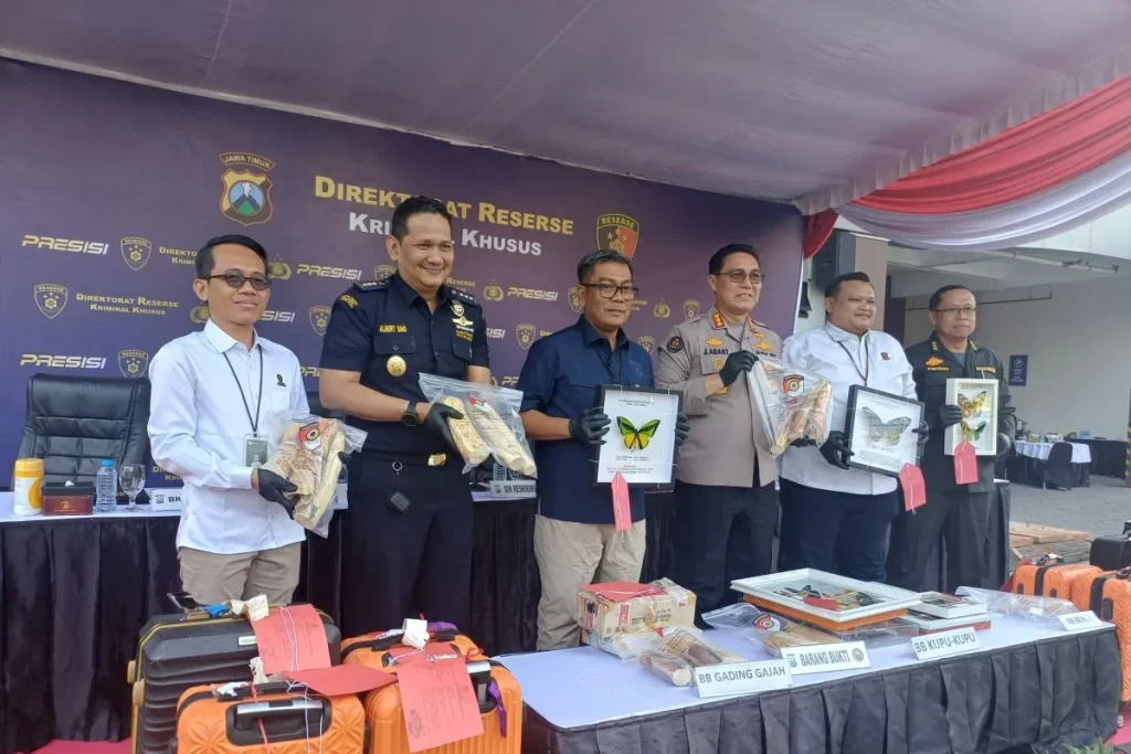 Polisi Bongkar Modus Penyelundupan 53 Gading Gajah Lewat Koper Jemaah Umrah
