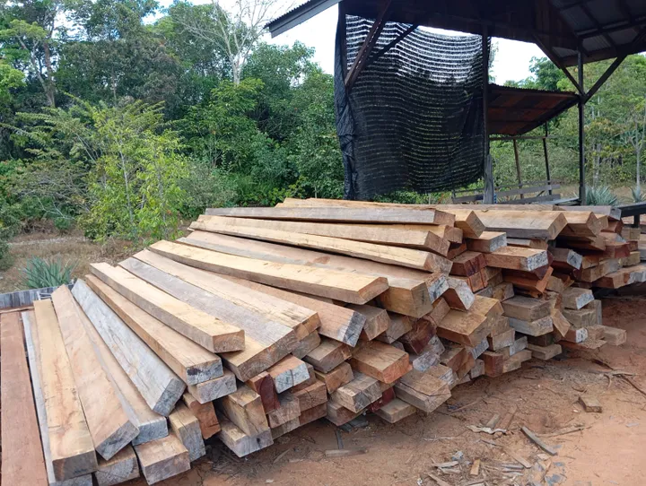 LPPNR-RI Desak Mabes Polri Bongkar Dugaan Peredaran Kayu Belian Ilegal di Kalbar
