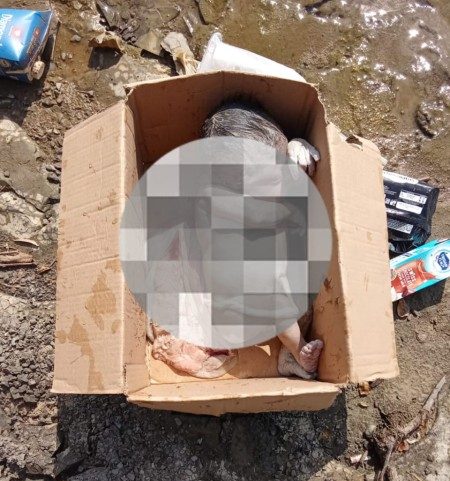 Polisi Selidiki Penemuan Jasad Bayi Perempuan Mengapung di Sungai Rokan