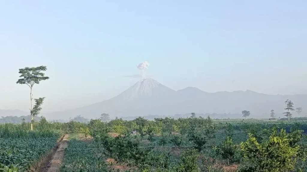 Awan Panas Semeru Meluncur 4,5 Kilometer, Warga Diminta Waspada