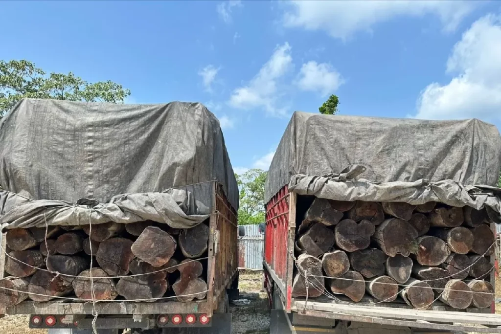 Polisi Gagalkan Pengiriman 260 Batang Kayu Ilegal di Pelalawan