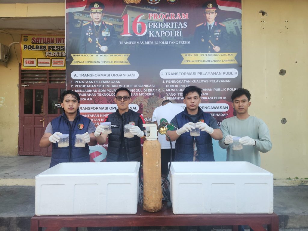 Gudang BBL Ilegal di Pesisir Barat Digerebek, Satu Tersangka Diamankan