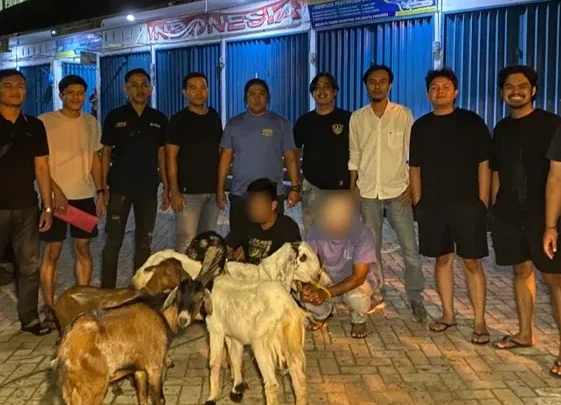 Polisi Gagalkan Penjualan 4 Kambing Curian, Dua Pria Diamankan
