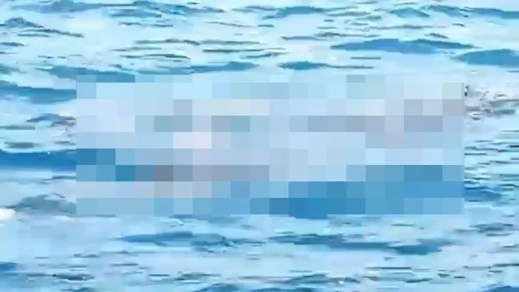 Satu ABK KM Ocean Three Ditemukan Meninggal, Pencarian Korban Terakhir Berlanjut