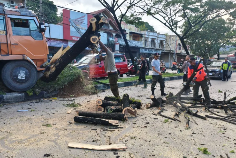 Diduga Sopir Mengantuk, Truk Tabrak Pohon hingga Tutupi Jalan Padang-Solok