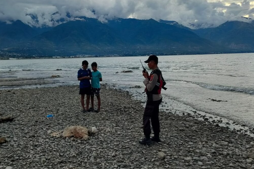 Mayat Tanpa Identitas Ditemukan di Pantai Penggaraman Palu, Polisi Selidiki