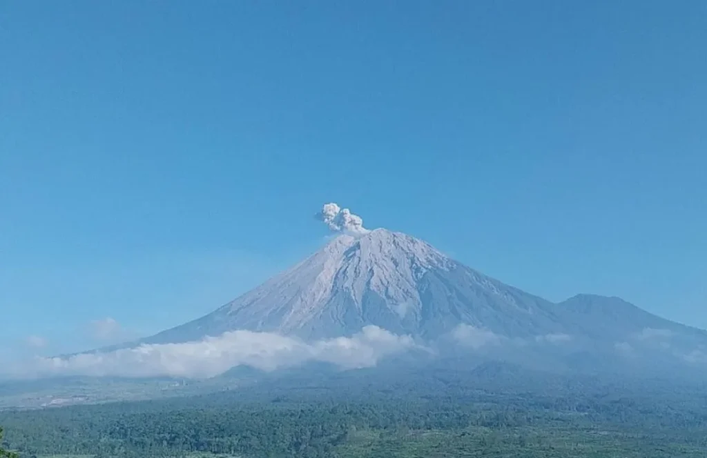 Aktivitas Vulkanik Semeru Meningkat, Tujuh Letusan Tercatat Sejak Kamis Pagi