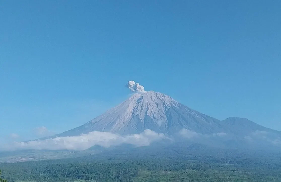 Aktivitas Vulkanik Semeru Meningkat, Tujuh Letusan Tercatat Sejak Kamis Pagi