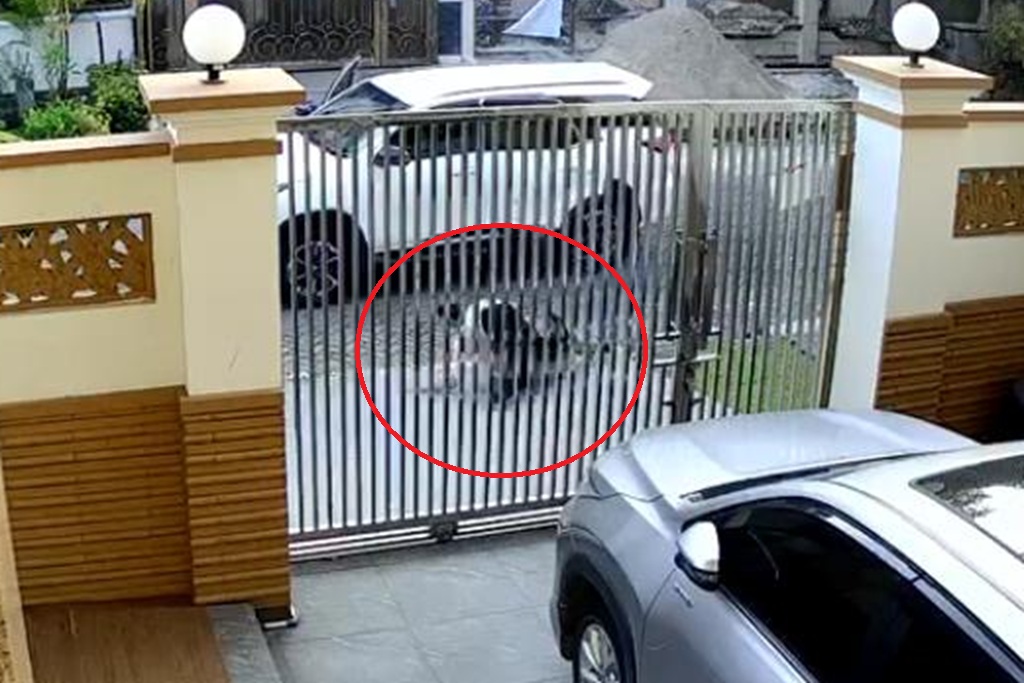 Polisi Tangkap Dua Pelaku Percobaan Penculikan Lansia di PIK