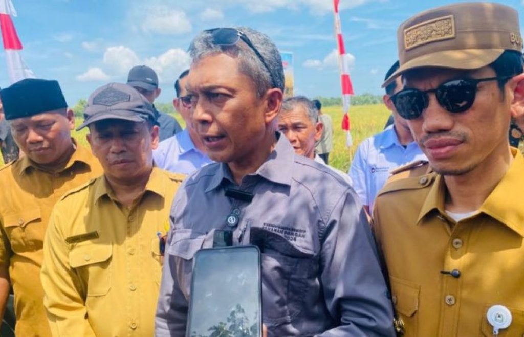 40 Ribu Hektare Sawah Aceh Dipulihkan, 16 Ribu Masih Rusak Berat
