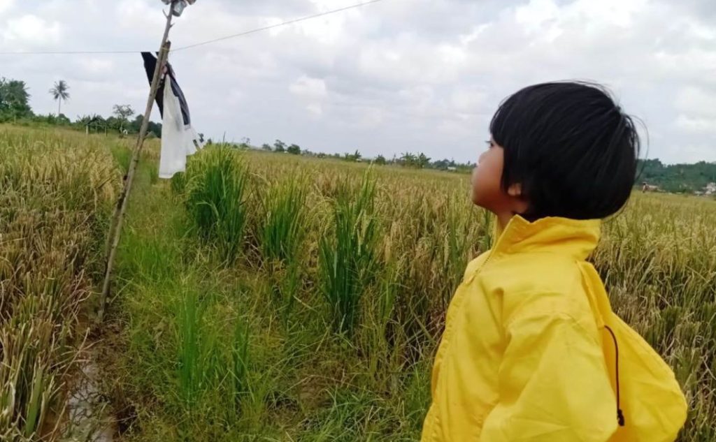 Kukar Jadi Andalan Pangan Kaltim dari Sawah hingga Sungai