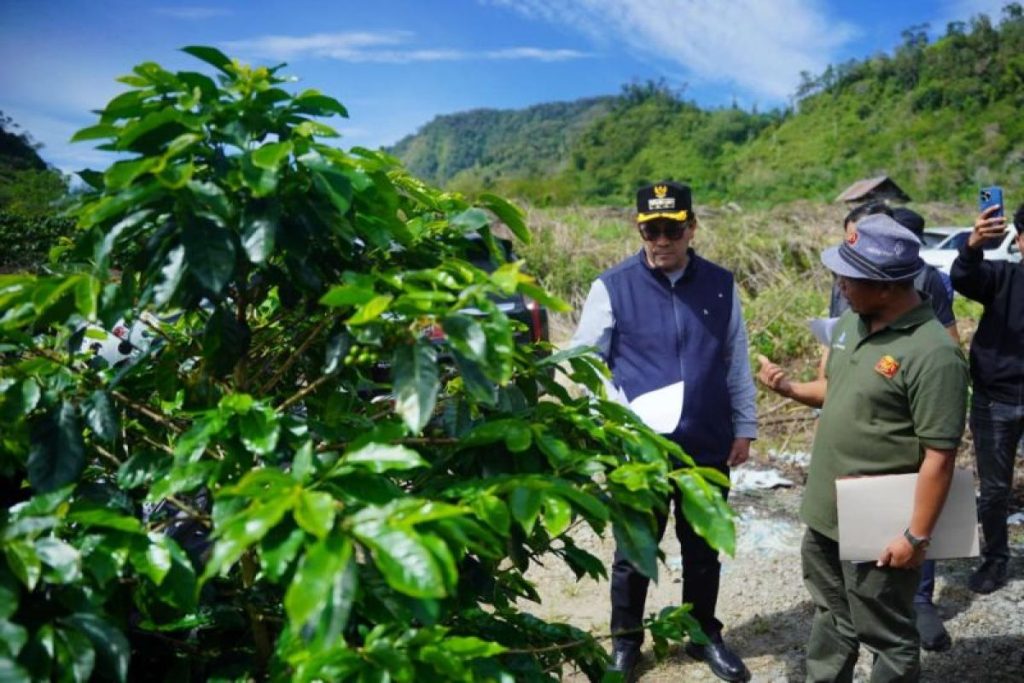 Penyuluh Kopi Aceh Tengah Diminta Turun Langsung Dampingi Petani